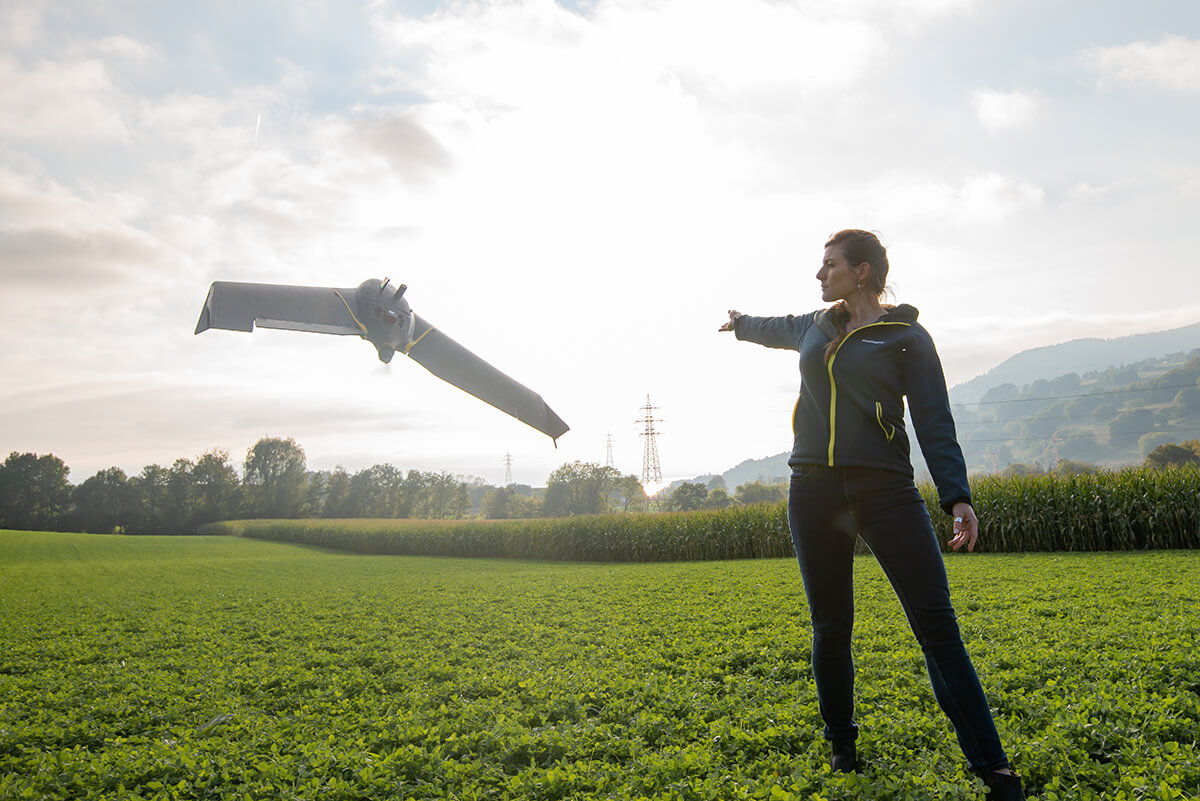 Tips_Maximizing_Crop_Scouting_senseFly