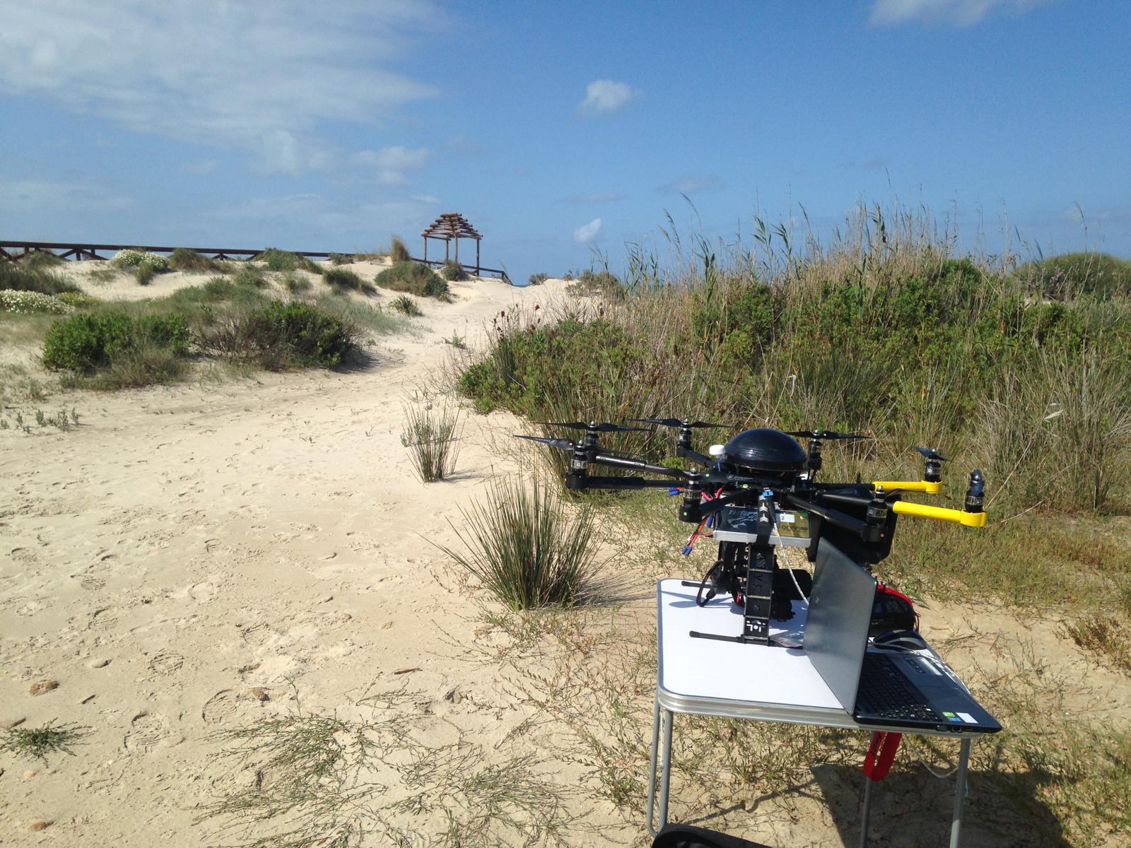 Micasense Dual Multispectral Biomass Estimation 5