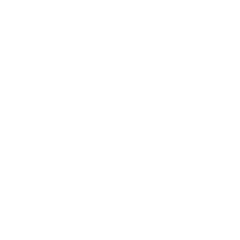 Us Border Patrol