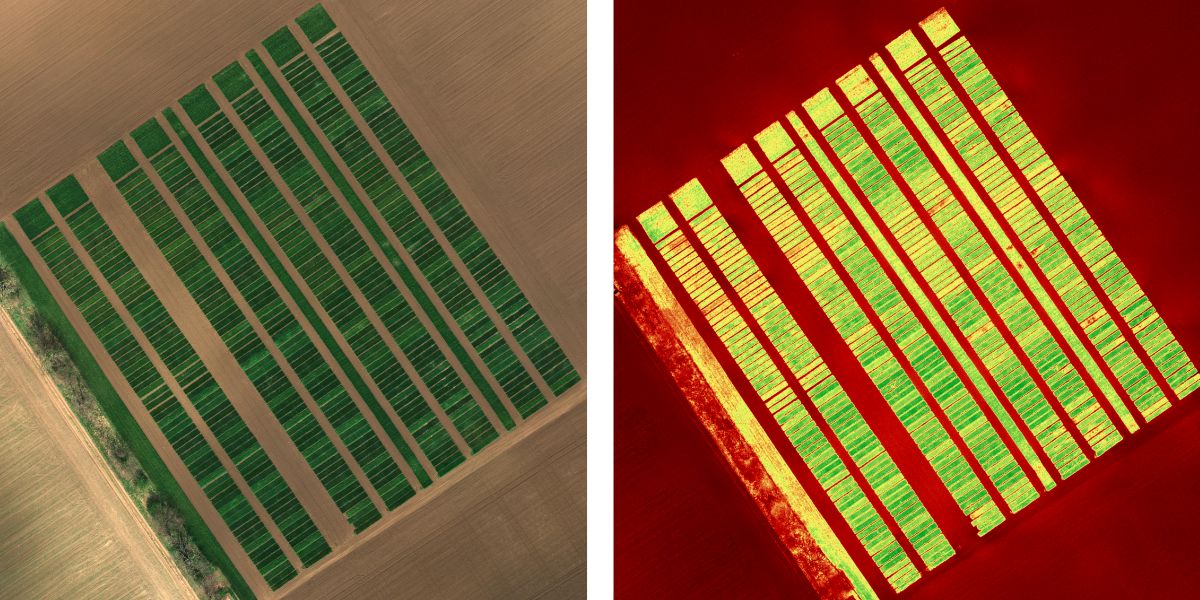 Fertilizer Management