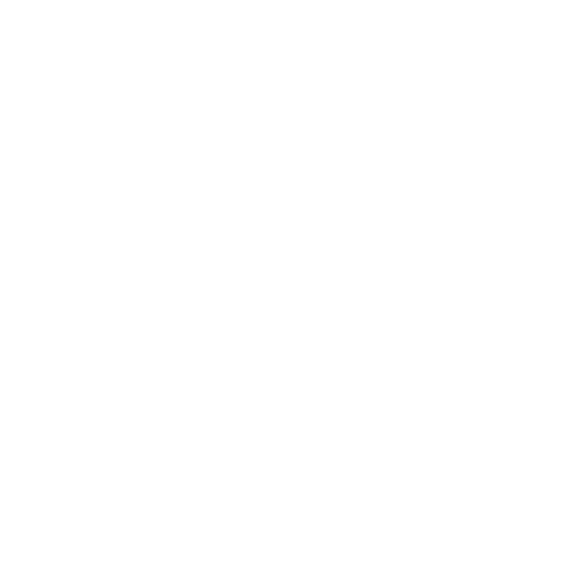 Logo Freefly