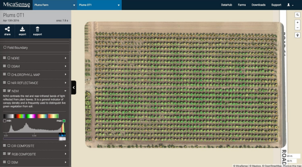 NDVI del huerto