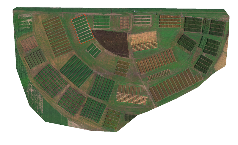 RGB image of research plots