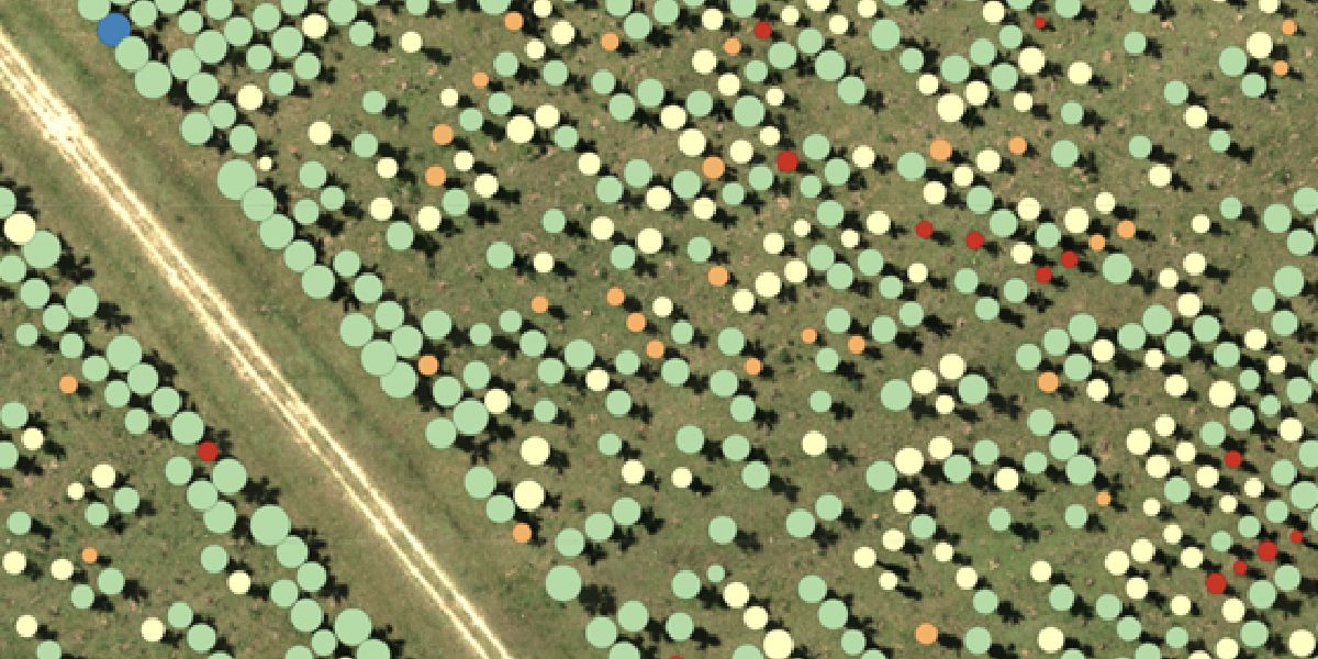 Powerful AI Capabilities