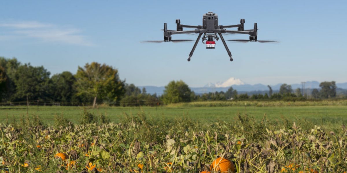 Species Differentiation