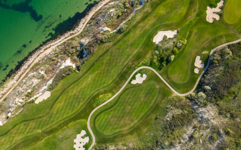 Turf Management Header